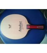 Amultart second hand 99% ( cán FL)_đã bán